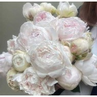 Пион Paeonia Odile