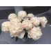 Пион Paeonia Colonel Owens Cousins